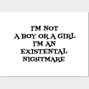 i'm not a boy or a girl Posters and Art